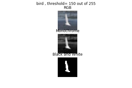 bird 150