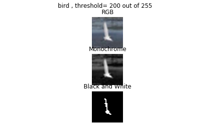 bird 200