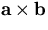${\bf a}\times{\bf b}$